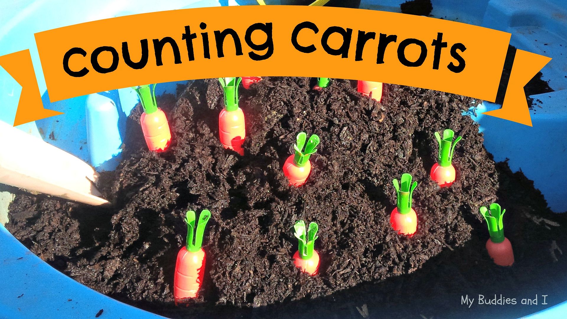 counting carrots